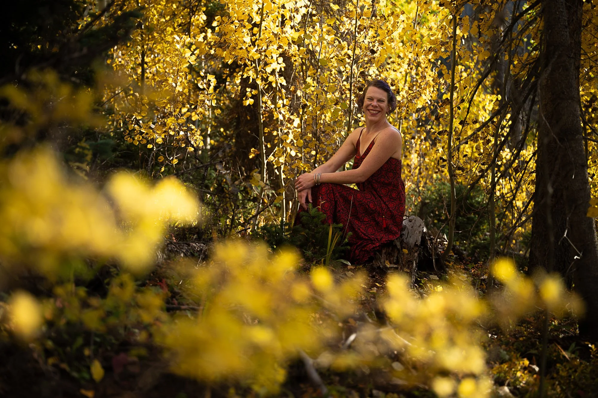 Person sitting in a mountain forest