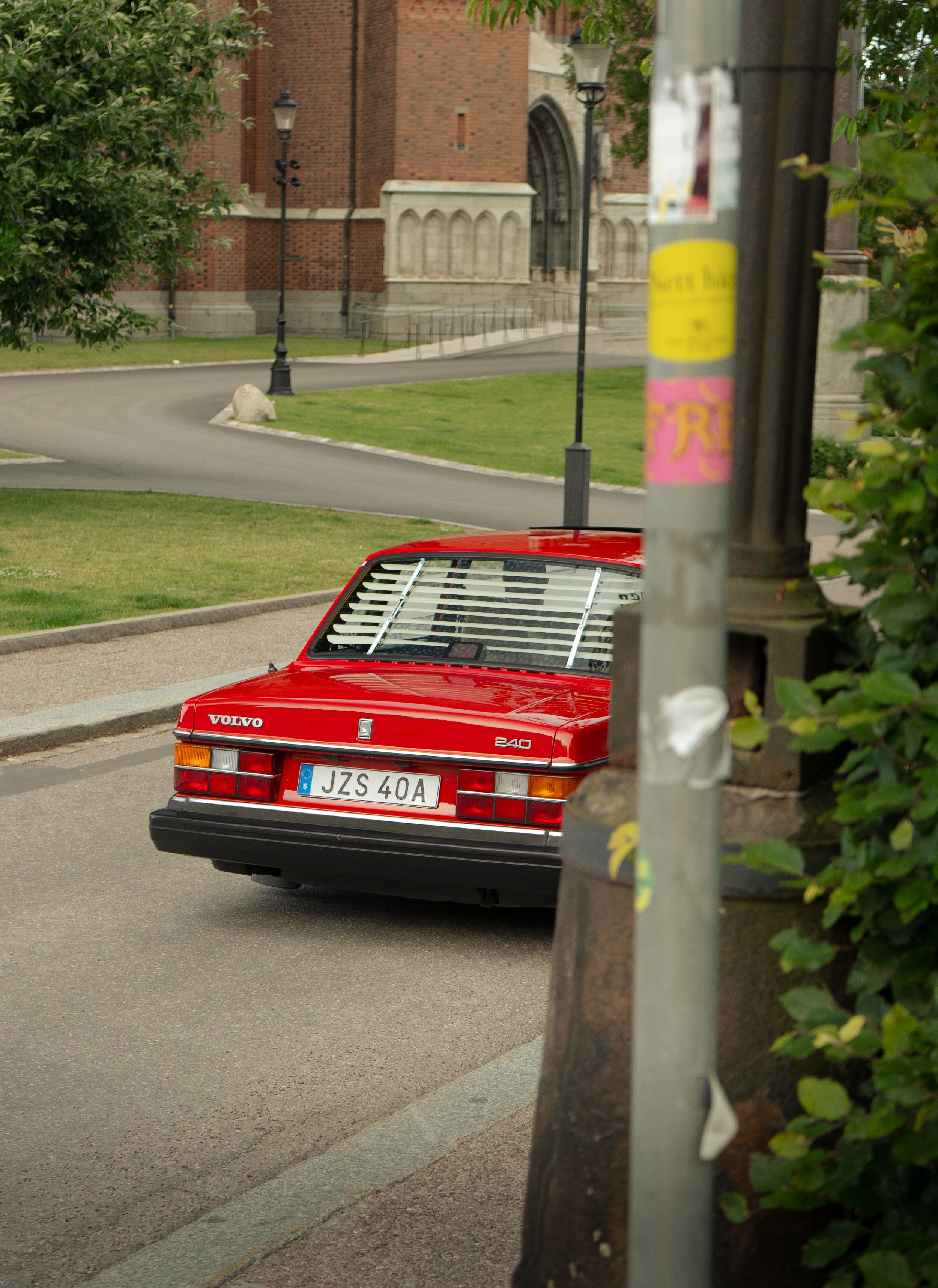 DSC06770.jpg