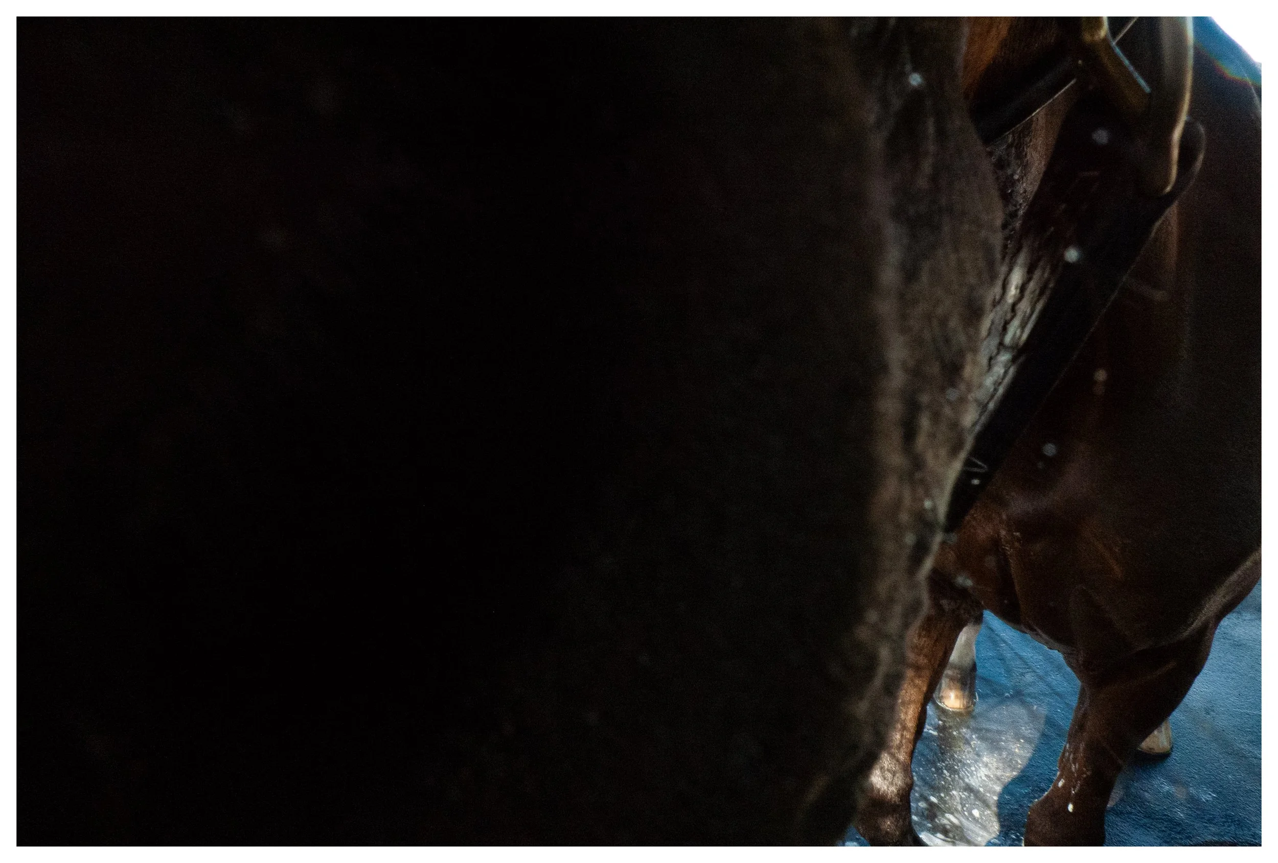 A person wearing brown waterproof boots washing or standing next to a brown horse on a blue surface.
