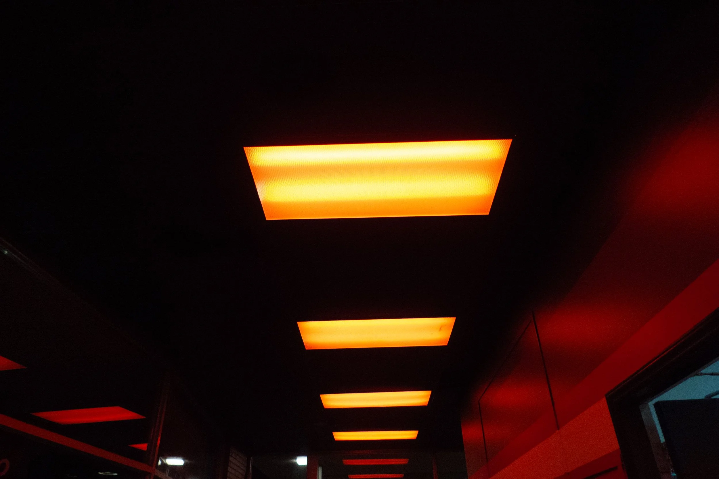 L1020778.jpg