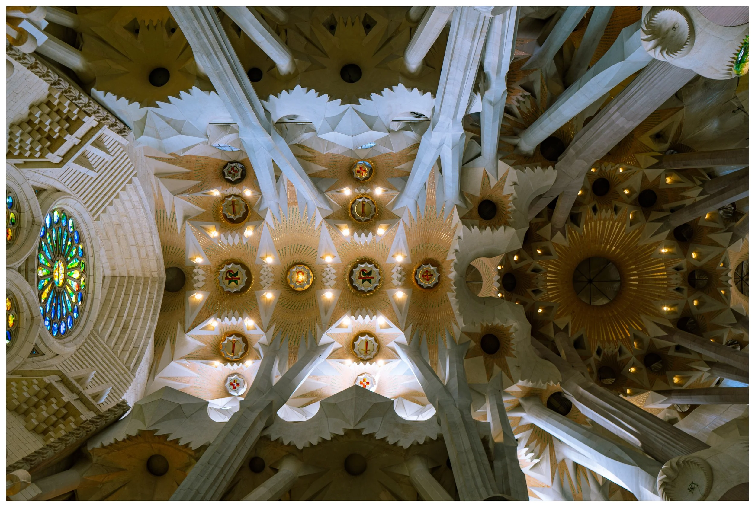 Interior ceiling of a basilica with intricate architectural details, stained glass rose window, and decorative elements in white, gold, and colors.