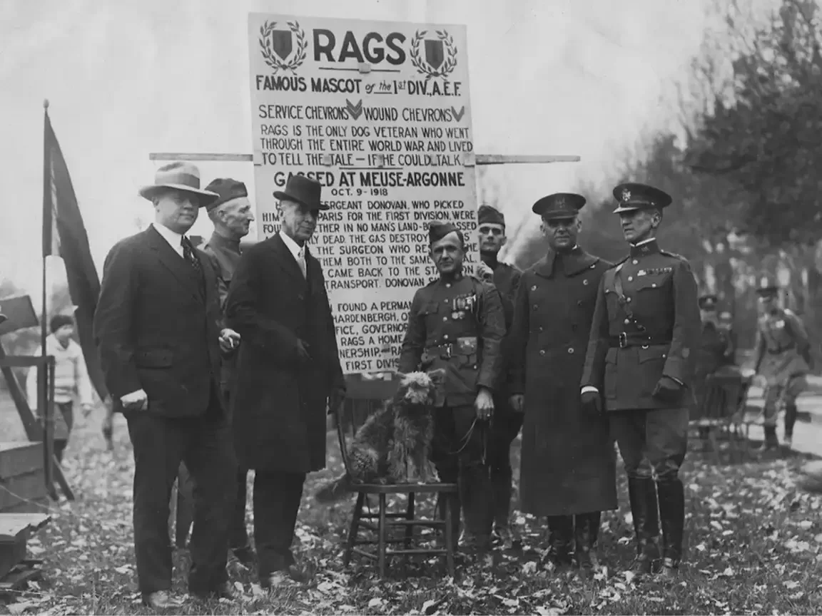Rags, a scruffy terrier, seated on a chair at an outdoor 1st Division ceremony, flanked by uniformed officers and civilians before a large commemorative sign.