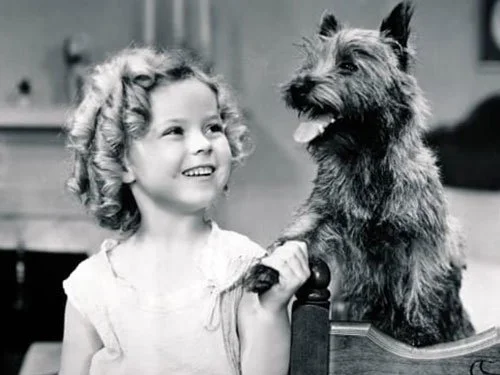 Shirley Temple smiles while holding paws with Terry the dog, later famous as Toto, in a cheerful black-and-white scene from the 1934 film Bright Eyes.