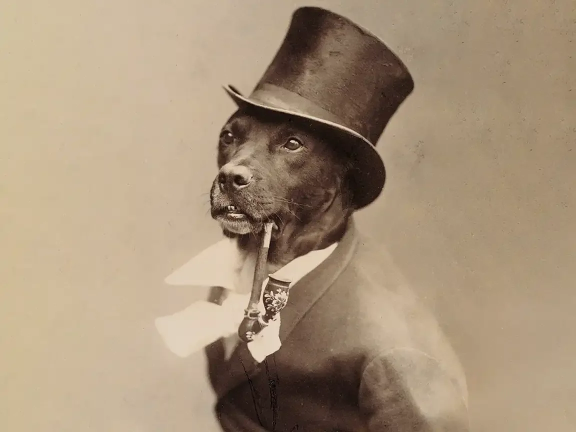 A sepia-toned Victorian-style portrait of a dog dressed as a gentleman, wearing a top hat and jacket, holding a pipe in its mouth, posed like a formal human studio photograph.