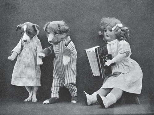 Two dressed-up puppies stand upright beside a seated doll holding books in this black-and-white staged photograph from The Little Folks of Animal Land.