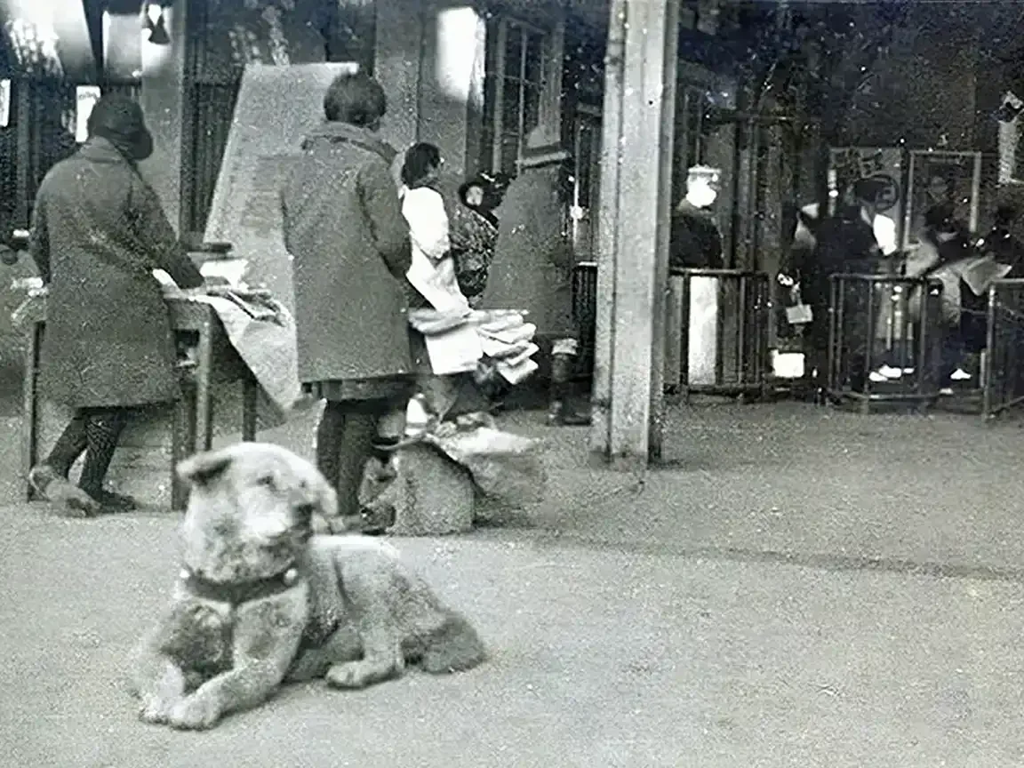 Hachikō lying on the ground near the entrance of Shibuya Station as commuters and newspaper sellers pass by.