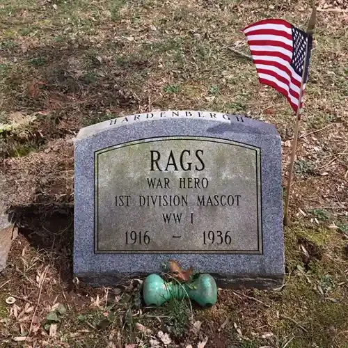 Stone grave marker reading "Rags, War Hero, 1st Division Mascot, WW I, 1916–1936," with a small American flag beside it on grass.