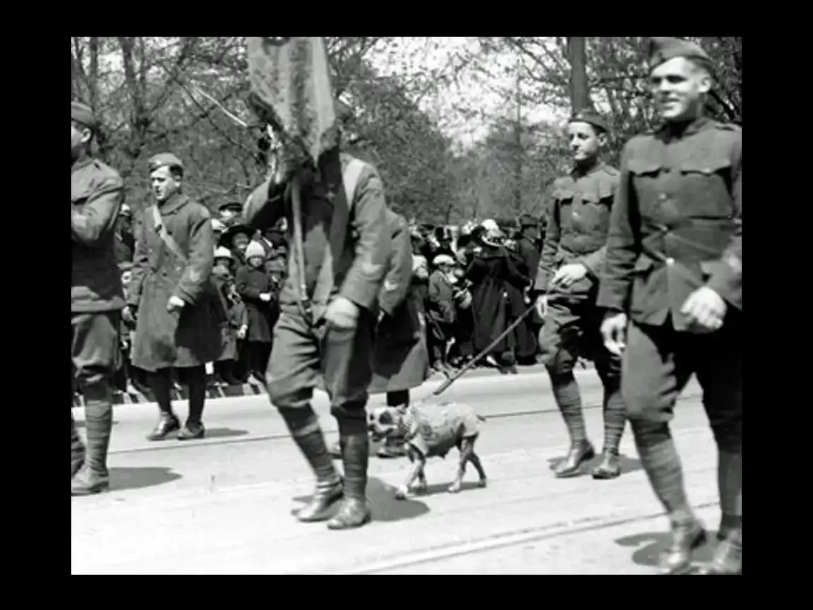 Uniformed soldiers march in formation on a city street as a small dog trots alongside, watched by a crowd lining the road.
