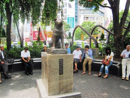 Bronze statue of Hachikō at Shibuya Station with people seated around the plaza in Tokyo.