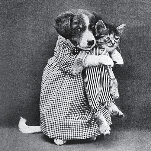 A vintage photo of a dog and a cat dressed in human clothes, with the dog appearing to hug or carry the cat, both standing upright in a posed studio setting