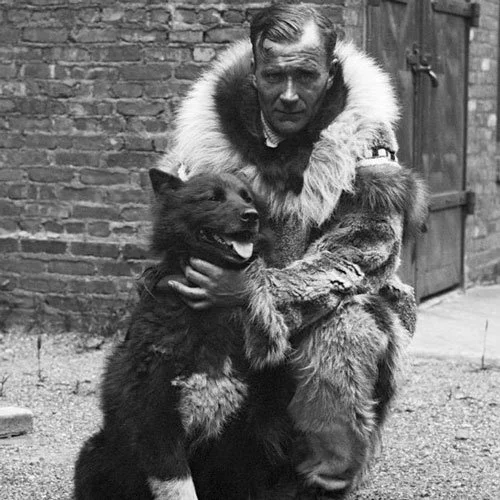 Sledder Gunnar Kasson hugs Balto the famed sledge dog
