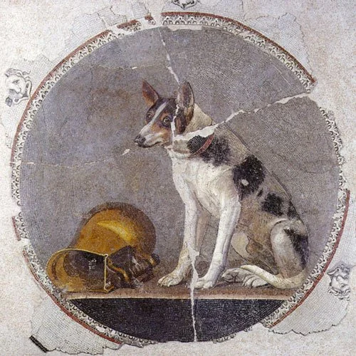 Roman mosaic dog and bronze helmet
