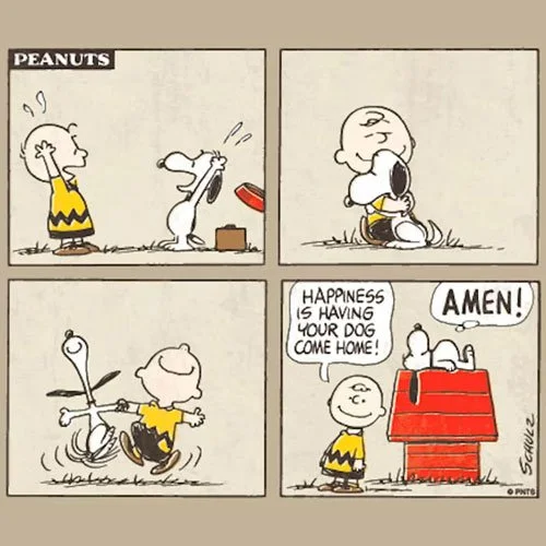 Peanuts Cartoon with Snoopy