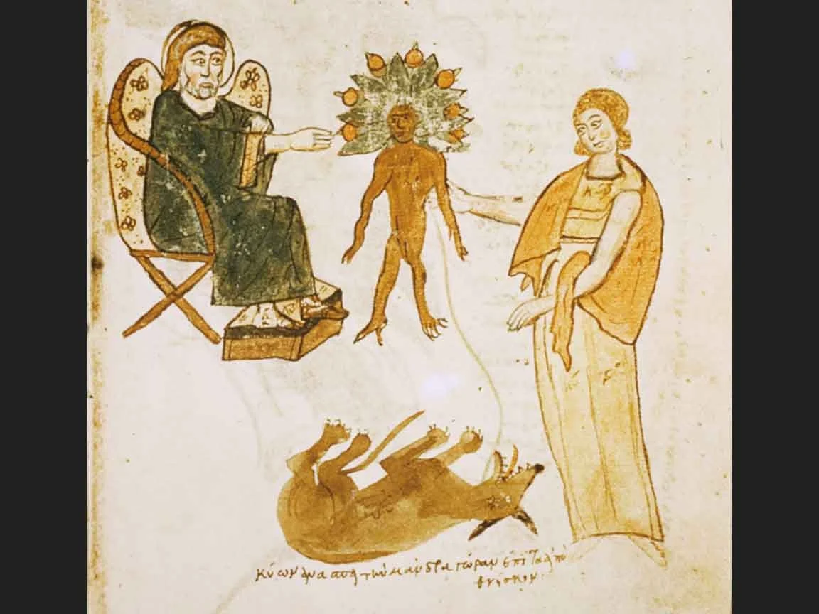 Medieval Medical Illustration