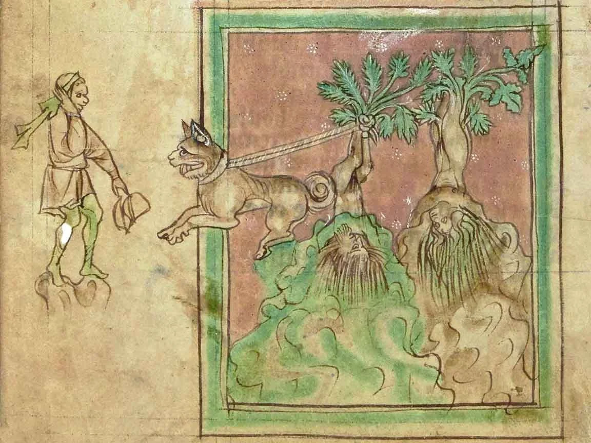 The Illustrated Bestiaire of Guillaume le Clerc