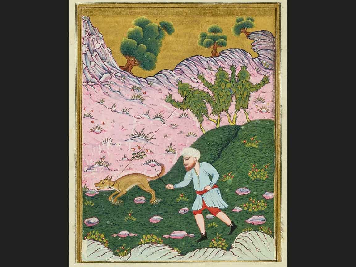 Mandrake Harvest - Early Modern Illustration