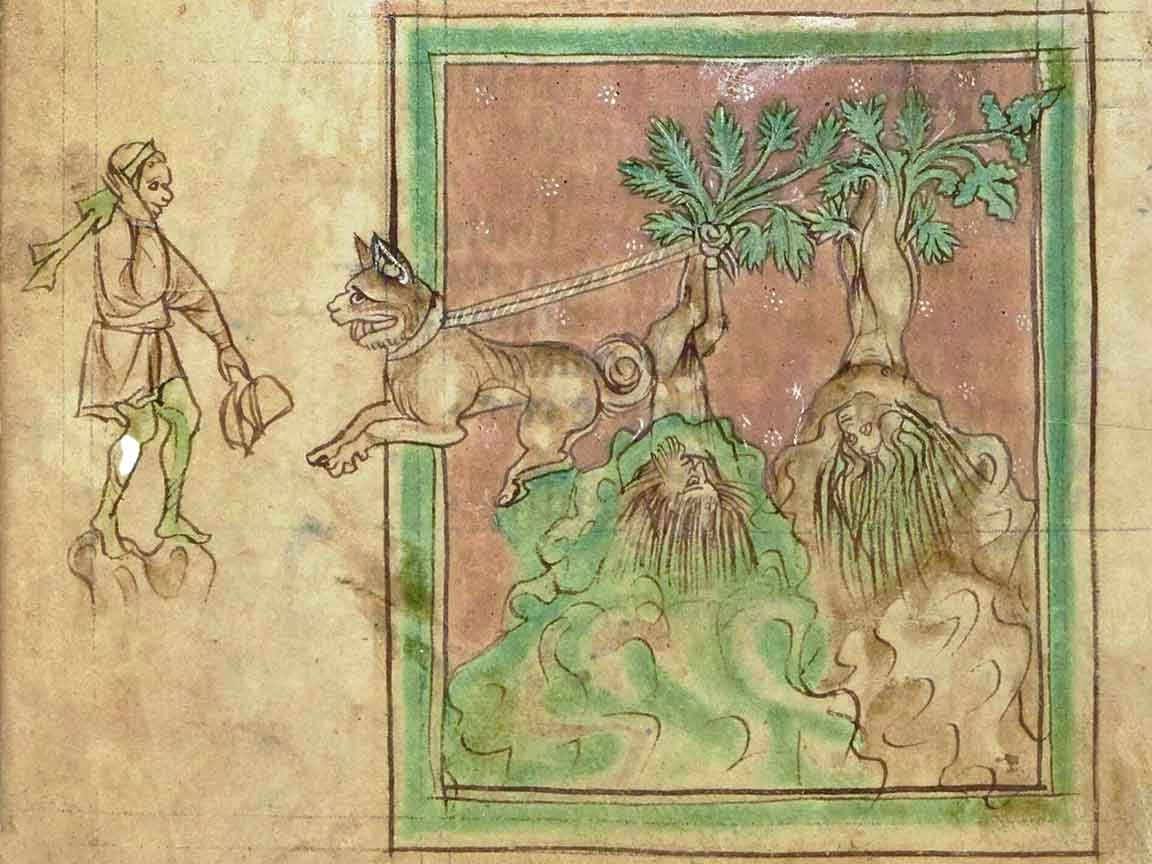 Mandrakes, Dogs, and the Screams of Legend