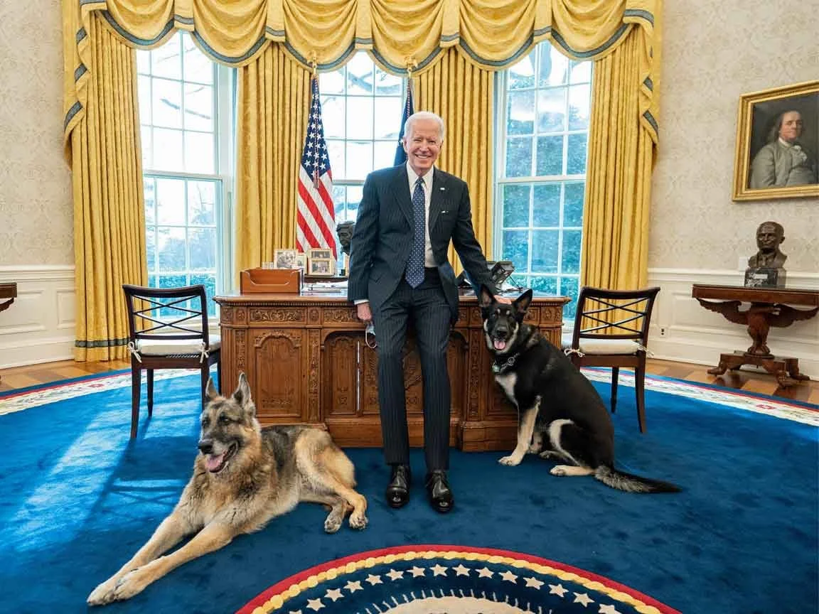 First Dogs of U.S. Presidents