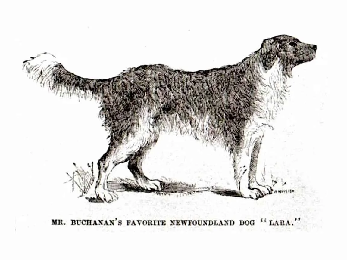 James Buchanan’s dog Lara