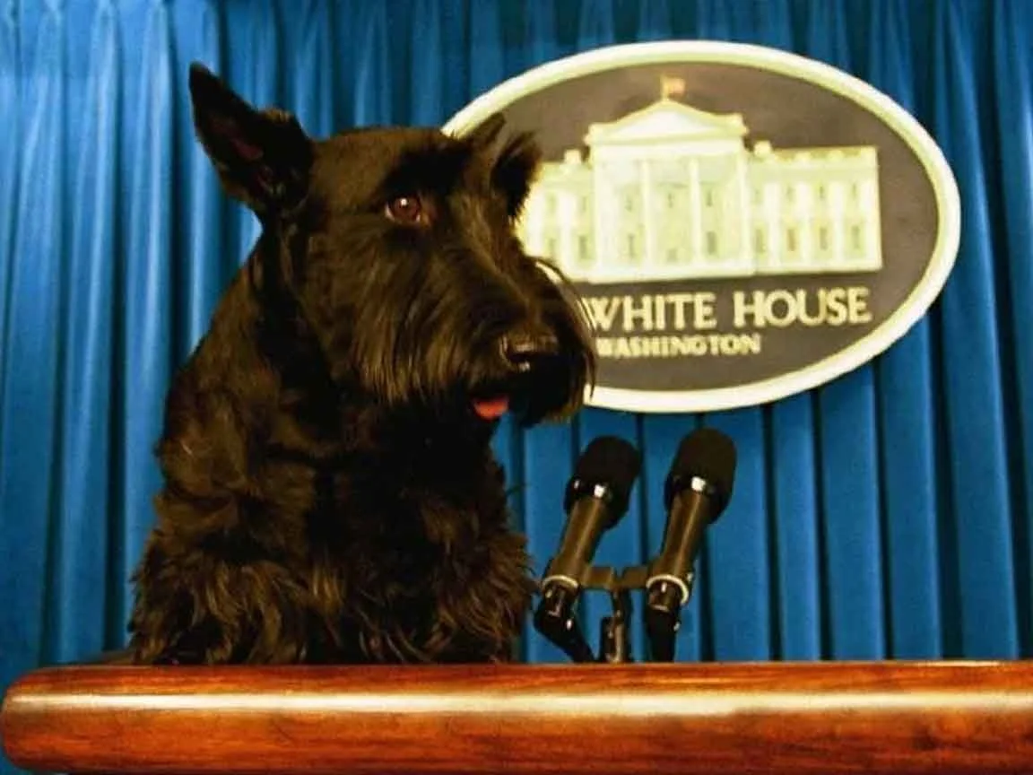 Barney Holds His First Press Briefing