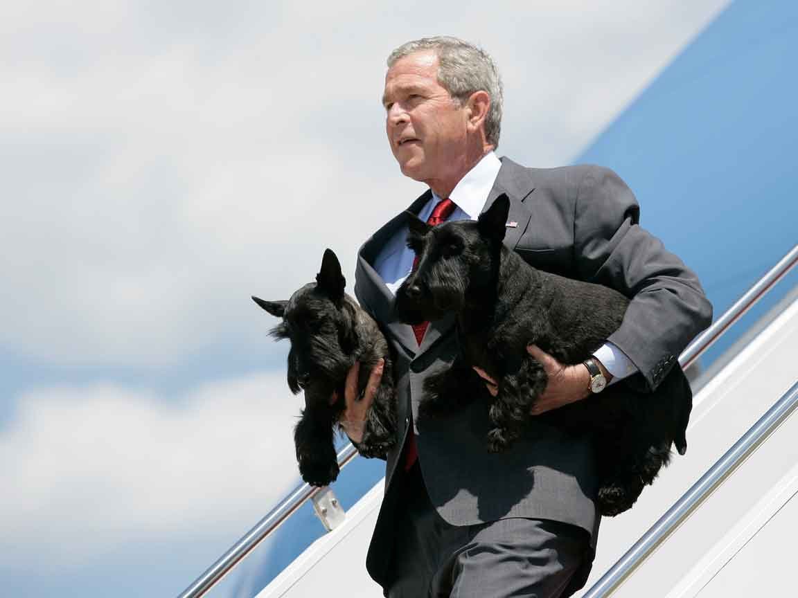 First Dogs Disembark