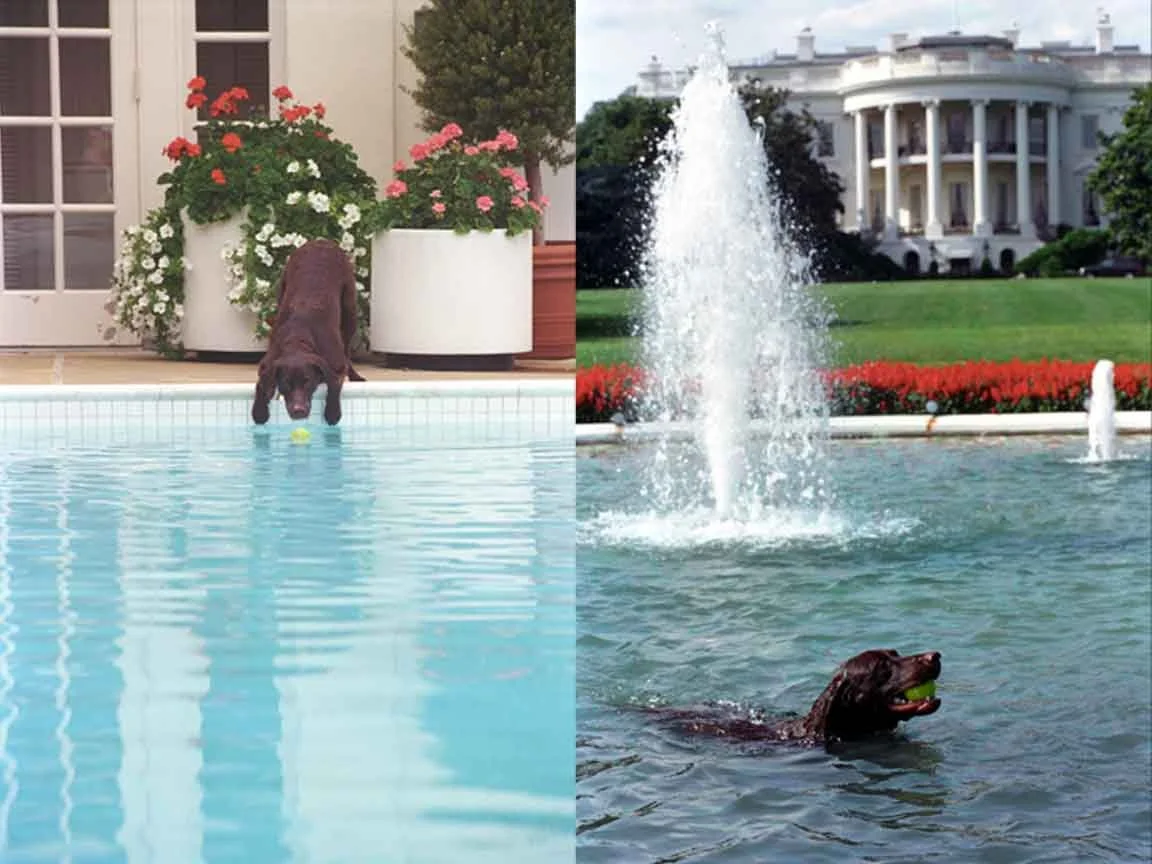 Anyone for a game of ball?