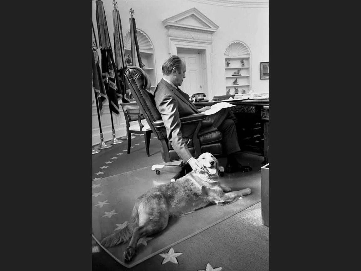 Gerald Ford and Liberty at Work