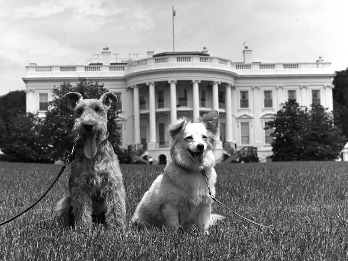 Charlie and Pushinka