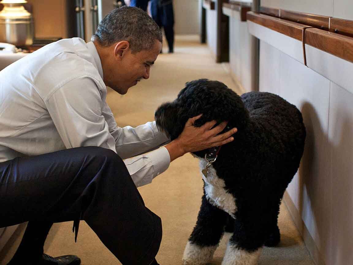 Air Force One Moment