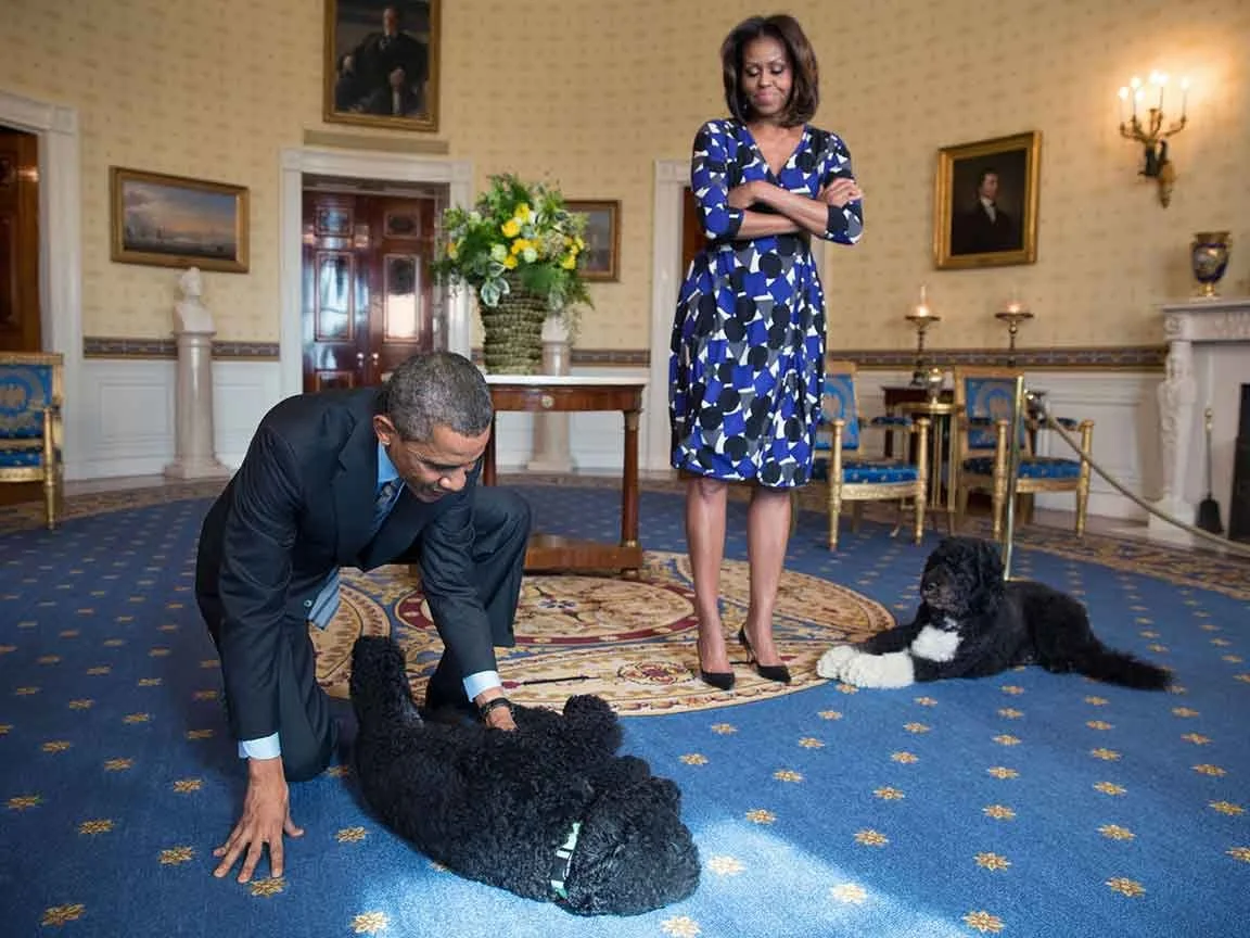 Paws and Politics in the Blue Room