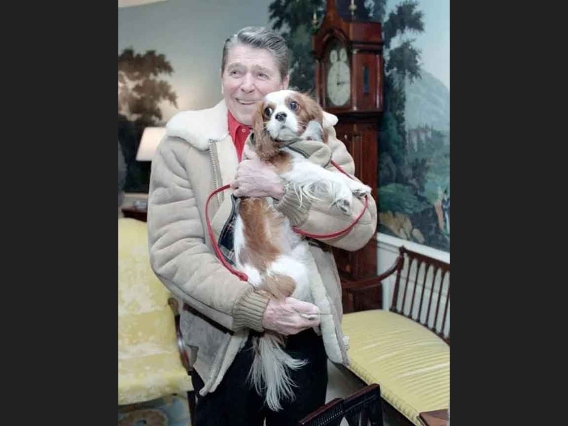 Reagan Gets A Cuddle