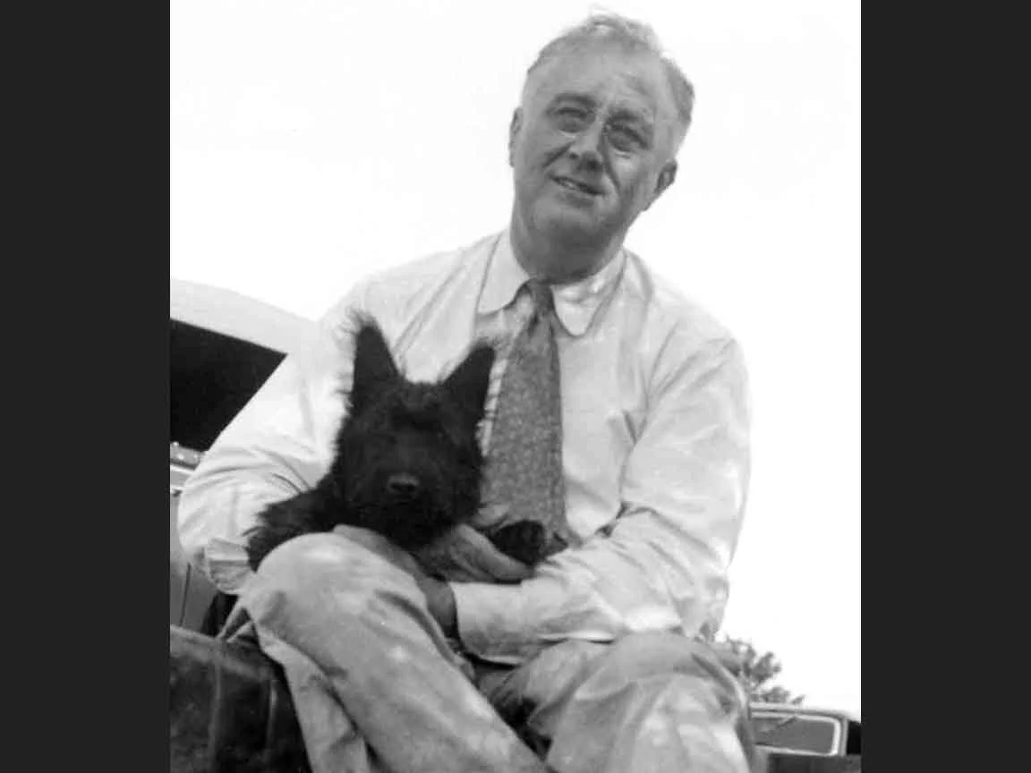 FDR and Fala: A Loyal Companion