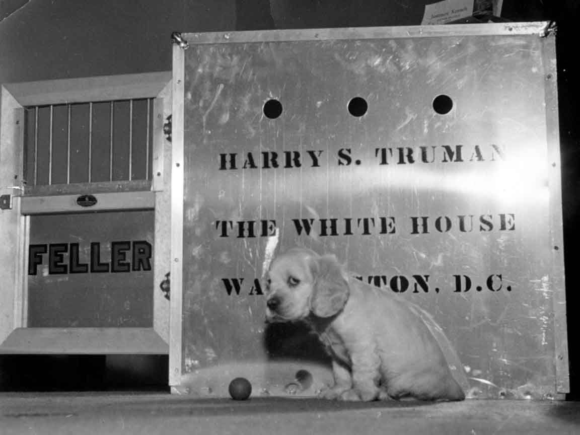 An Unwanted Christmas Gift