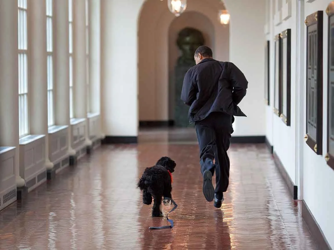 Getting to Know Each Other