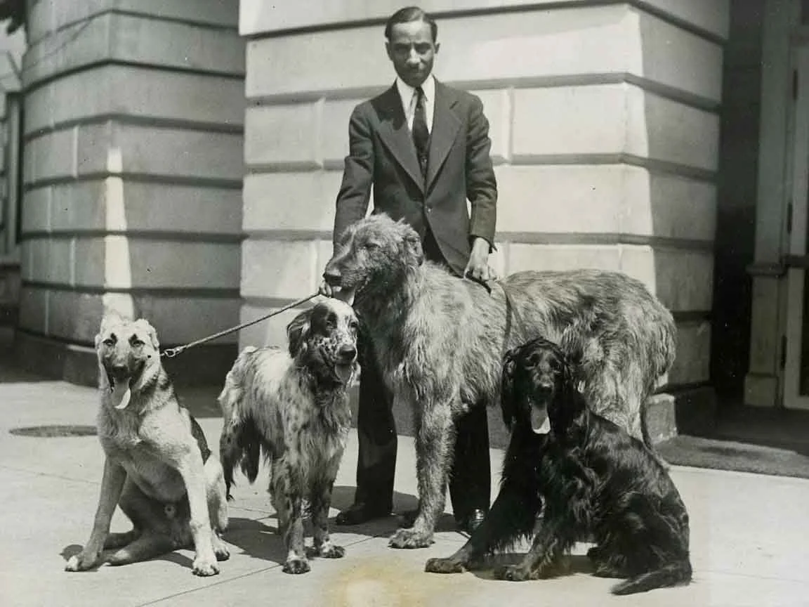 A President’s Pack