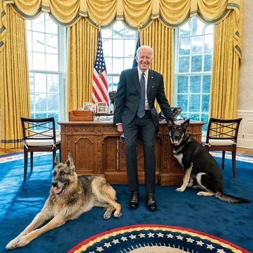 Joe Biden with Champ and Major 