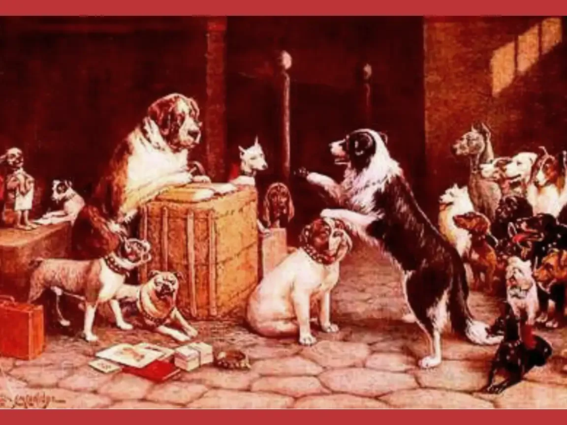 Breach of Promise Suit 