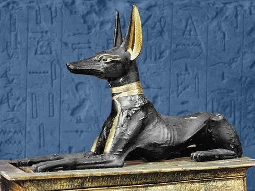 Anubis Was Real: The Dogs Behind Egypt’s Most Famous God