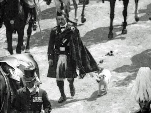 Caesar: The Dog Who Walked Before Kings