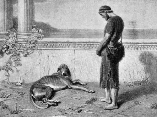 Argos: The Dog Who Waited
