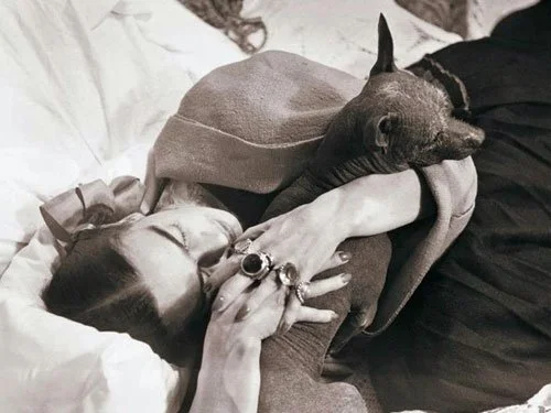Señor Xólotl: Frida Kahlo Named Her Dog After the Aztec God of Death