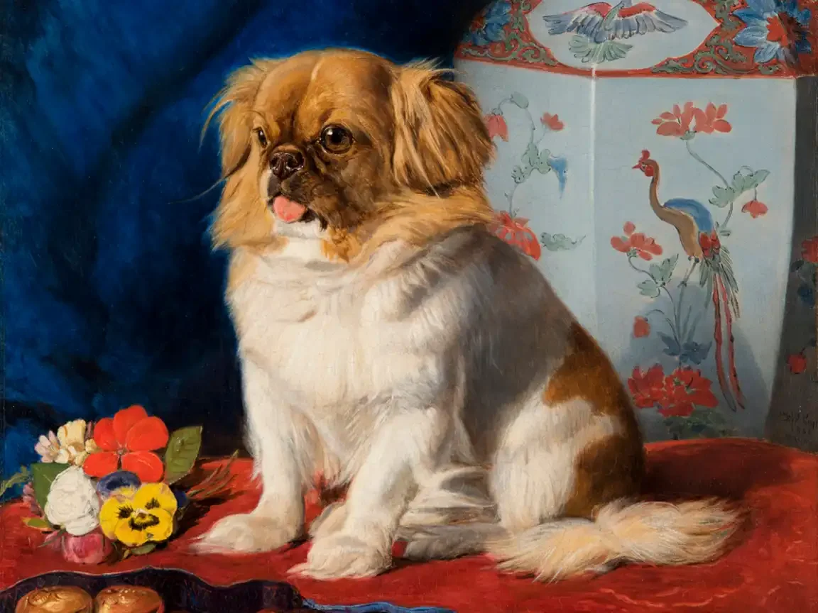Oil painting of Looty, a fawn and white Pekingese, seated on a red cushion before a Chinese vase with flowers beside her. Friedrich Wilhelm Keyl, 1861.