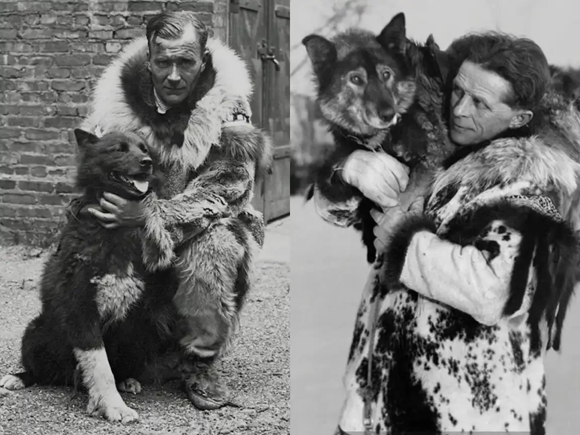 Togo and Balto: The Sled Dog Heros History Got Wrong