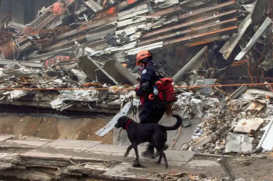  FEMA 4183 - Colorado Task Force One member Ann Wickman and her canine counterpart Jenner skirt a mountainous pile of rubble at the site of the collapsed World Trade Center. Photo by Mike Rieger/ FEMA News Photo. 