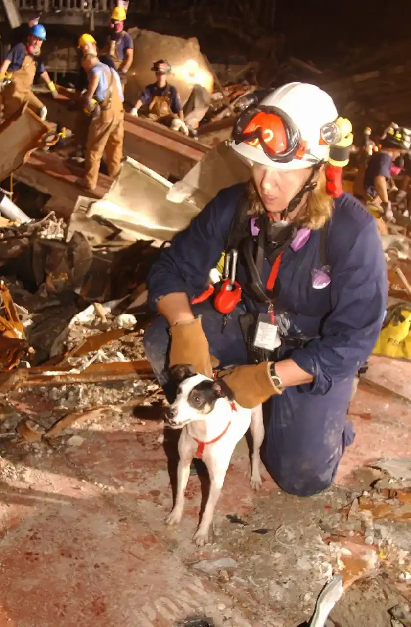 Alt text: A rescuer in a white helmet kneels on rusted steel plating holding a small white dog with a black head and red collar; workers move among wreckage behind them.