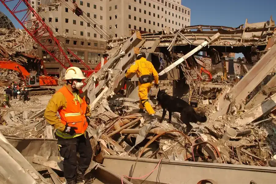  FEMA 5323 - Members of FEMA's Urban Search and Rescue teams continue to search for survivors amongst the wreckage. Photo by Andrea Booher/ FEMA News Photo. 