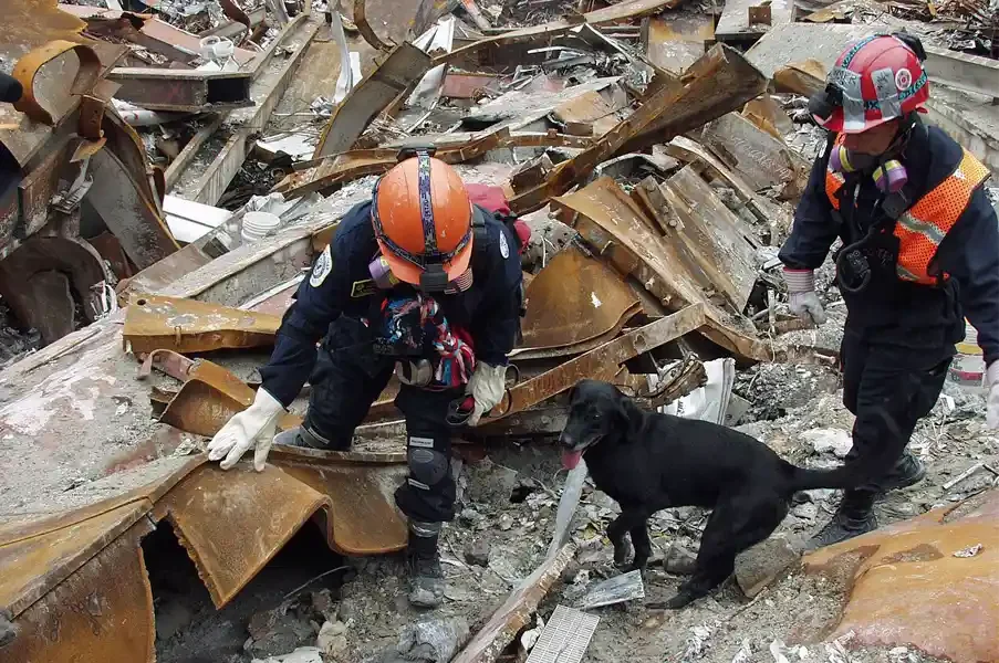  FEMA 4179 - Colorado Task Force One member Ann Wickman works with her dog, Jenner, to search for victims in the collapsed World Trade Center. Photo by Mike Rieger/ FEMA News Photo 