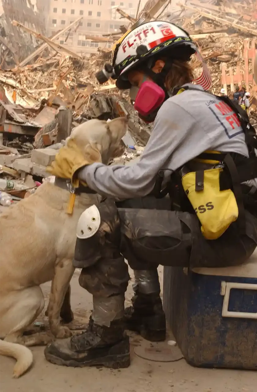  FEMA 5622 - Rescue workers work with dogs to search for victims of the World Trade Center attacks. Photo by Andrea Booher/ FEMA News Photo. 