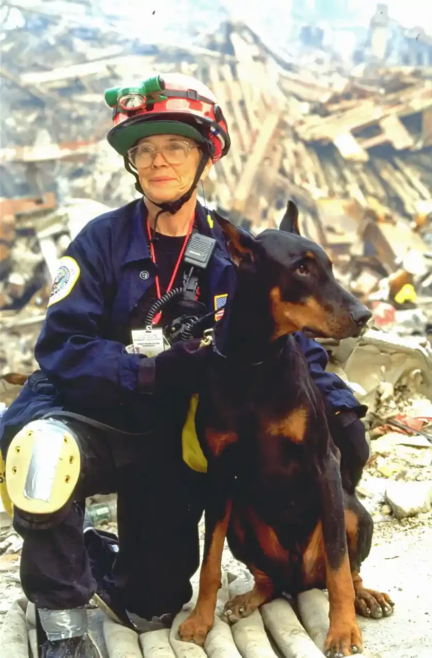  FEMA 5379 - FEMA's Urban Search and Rescue teams search for survivors amongst the wreckage of the World Trade Center. Photo by Andrea Booher/ FEMA News Photo. 