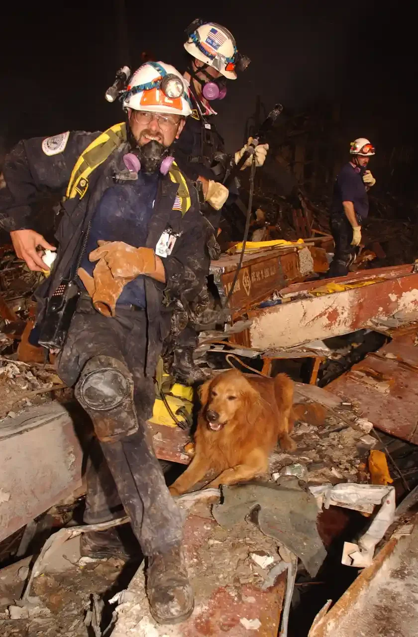  FEMA 4122 - Kent Olson and his dog, Thunder, from Lakewood, Washington search through the rubble for victims of the September 11 terrorist attacks. Photo by Andrea Booher/ FEMA News Photo. 